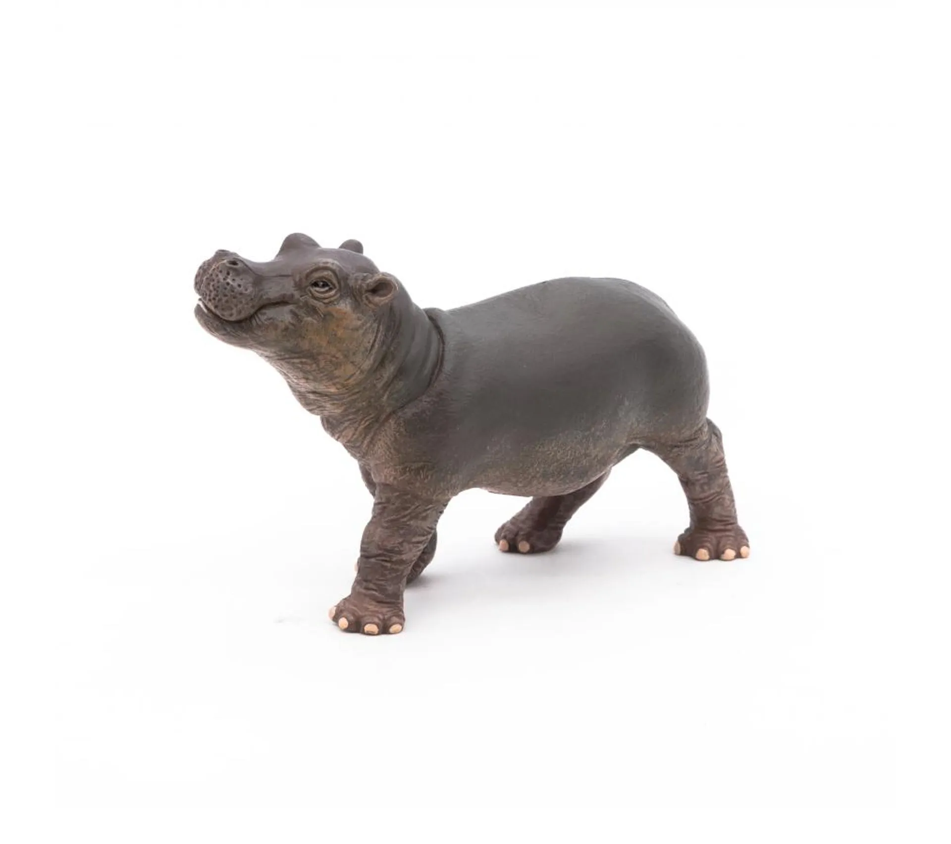 50052 Bébé Hippopotame Figurine