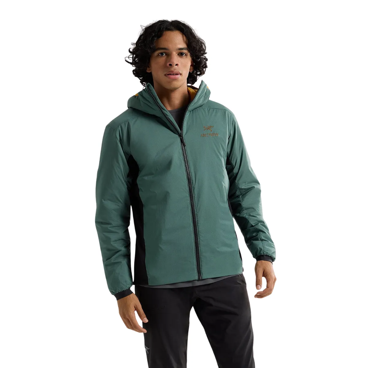 Arc'teryx Veste  Capuchon Atom - Homme
