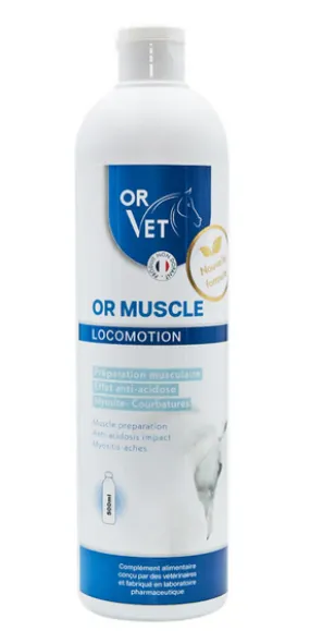 muscle strength