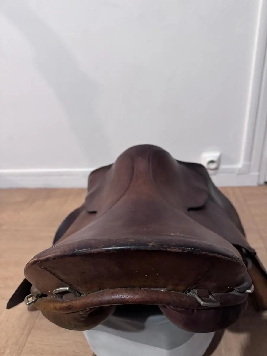 equestrian equipment