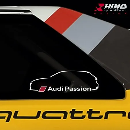 Stickers kit RS3 8V Audi Passion