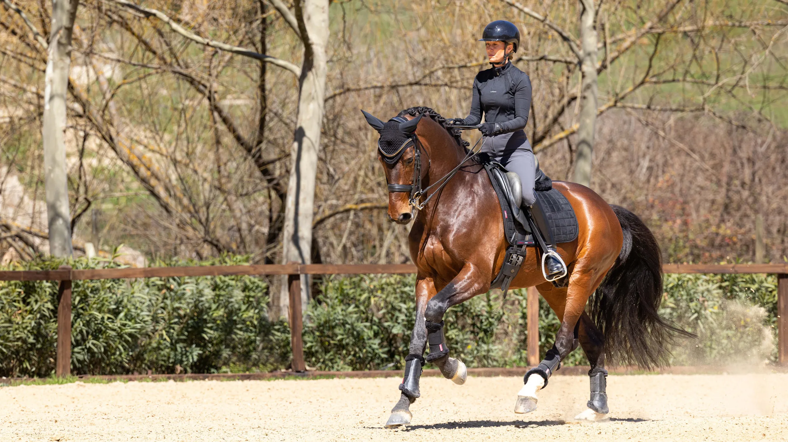 Tapis de dressage LeMieux Diamante pour Cheval