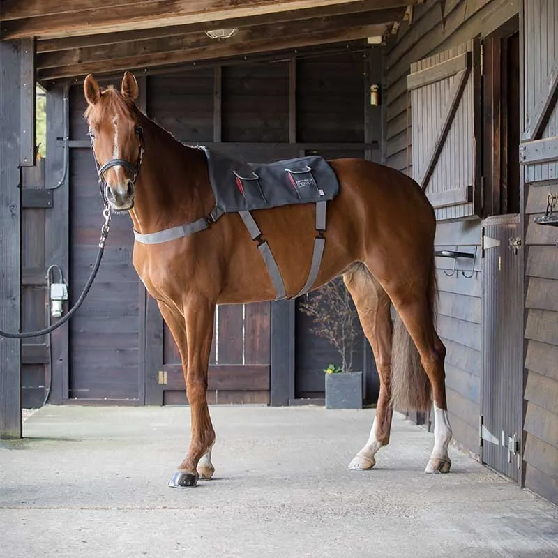 Tapis de massage cheval - Equilibrium - EQUILIBRIUM - Accessoires thérapeutiques - Equestra