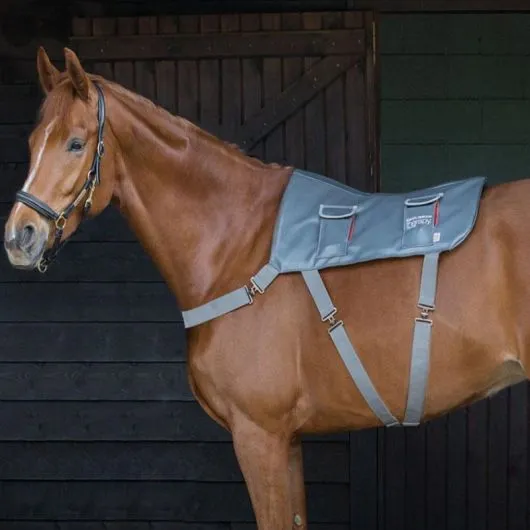 Tapis de massage cheval - Equilibrium - EQUILIBRIUM - Accessoires thérapeutiques - Equestra