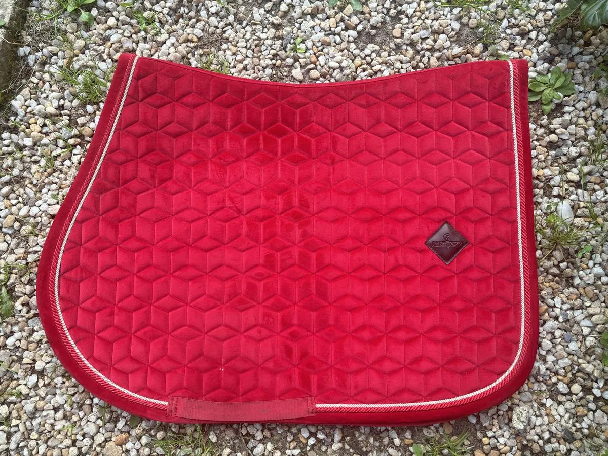 tapis kentucky