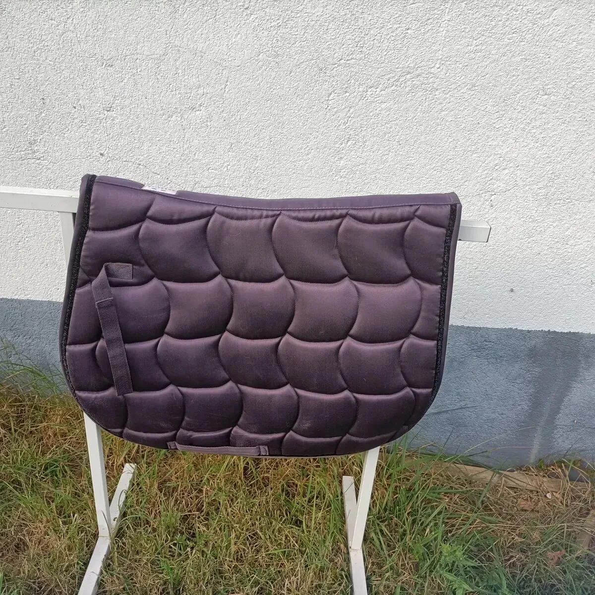 Tapis violet équitem